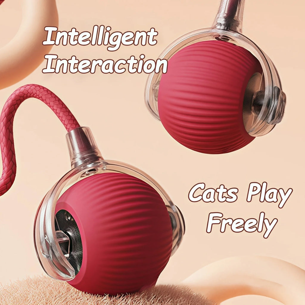 Pelota interactiva para perro o gato con funciones inteligentes