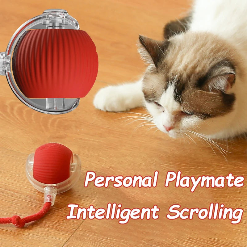 Pelota interactiva para perro o gato con funciones inteligentes
