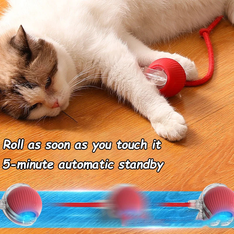 Pelota interactiva para perro o gato con funciones inteligentes