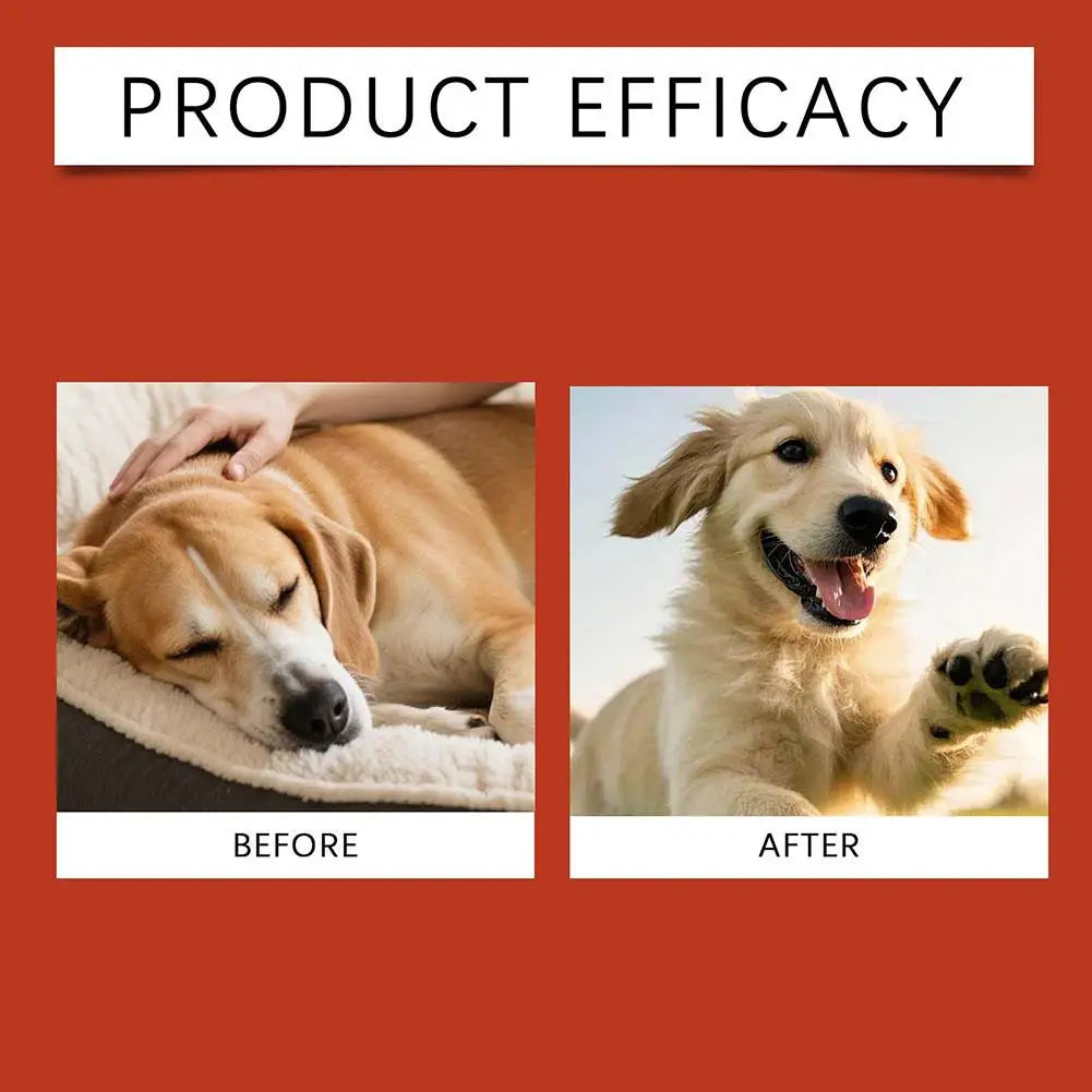 probióticos Turkey talil+ Para perros. 100G